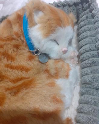 Peluche che respira