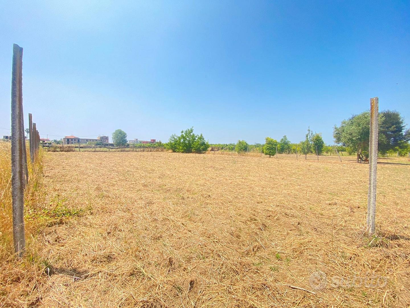 3Terreni Agricoli Via Arco Sant'Antonio FL288 - Vista 3