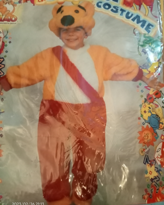Vestito carnevale orsetto