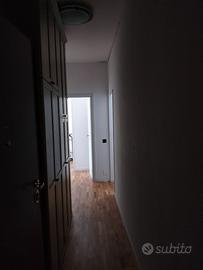 Bilocale arredato