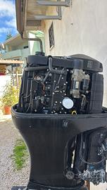 Motore 115 cv mercury