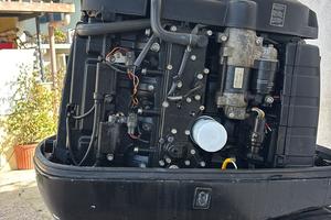 Motore 115 cv mercury