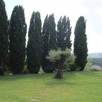 Agriturismo