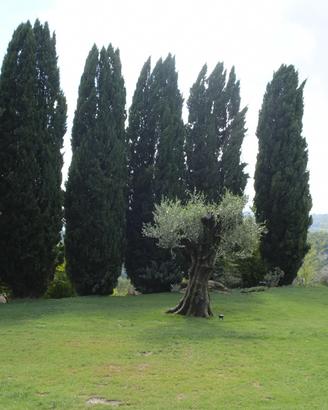 Agriturismo