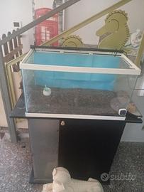 acquario 60 litri