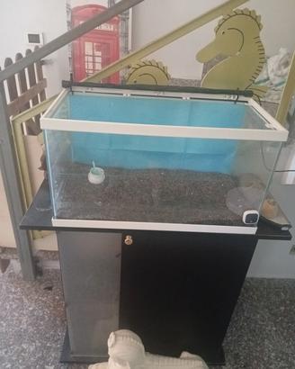 acquario 60 litri