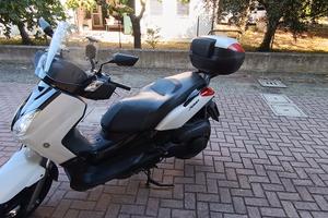 Xmax 250