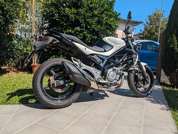 Suzuki Gladius 650