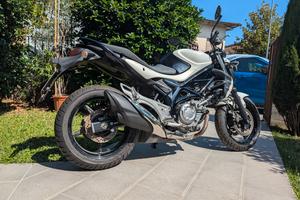 Suzuki Gladius 650