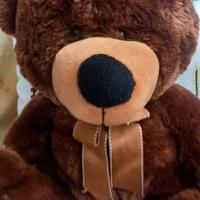 Morbido orsetto marrone