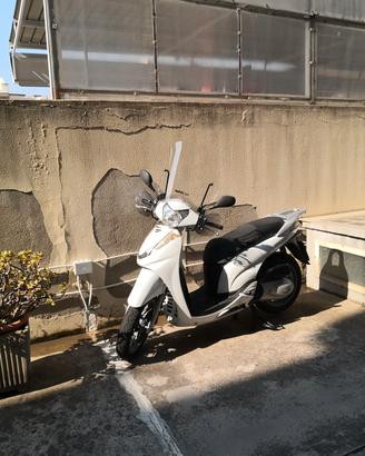 Honda sh 300 