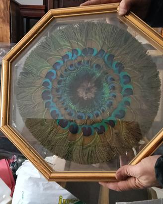 MANDALA DI PIUME DI PAVONE COMPOSIZIONE SOTTOVETRO