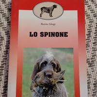 Lo Spinone Massimo Scheggi 1996