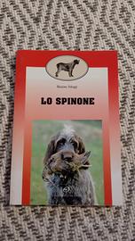 Lo Spinone Massimo Scheggi 1996