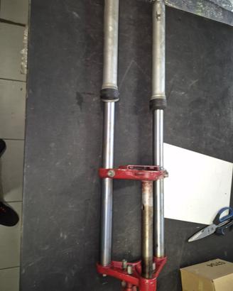 Forcella anteriore malaguti 50 cross 78/82