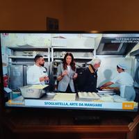 TV Samsung 17 pollici