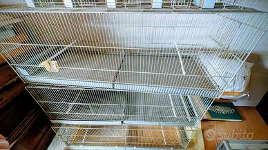 Blocco 7 Gabbie Cova (120/60) + Batteria a colonna