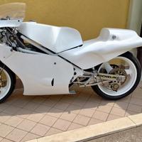 Rotax 250 GP Tandem