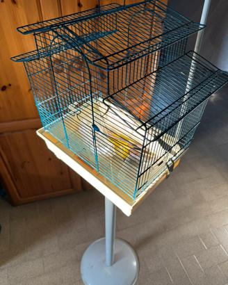 Gabbia per canarino/i