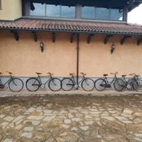 Biciclette freni a bacchetta