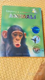 impara a conoscere gli ANIMALI
