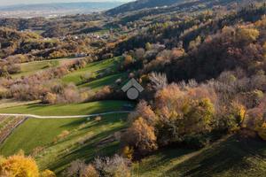 TER. AGRICOLO A CHIAMPO