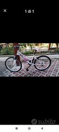 Bicicletta da ragazzina