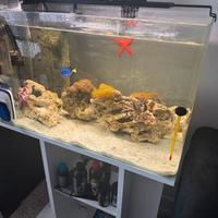 Acquario vuoto