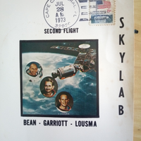 Francobollo skylab