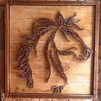 QuadroTesta di cavallo