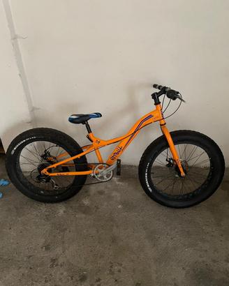 Bicicletta