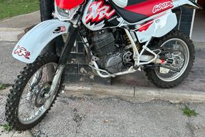 Xr 600