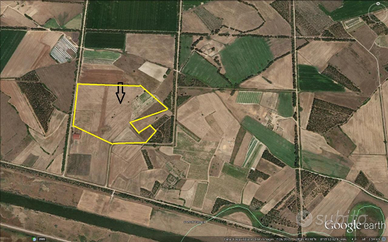 Terralba (OR) 10 Ettari terreno agricolo