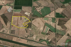 Terralba (OR) 10 Ettari terreno agricolo