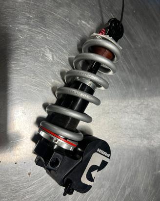 Ammortizzatore Push Elevensix 185x55