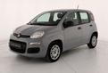 Fiat Panda 1.2 easy s&s 69cv my19