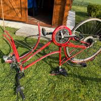 Bicicletta donna  marca colnago