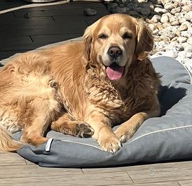 Maschio per accoppiamento