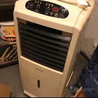 climatizzatore portatile pinguino 