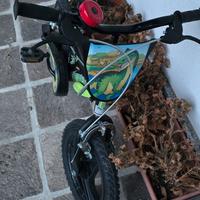 bici bambino