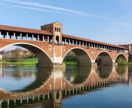 Vorrei Stanza a Pavia per studentessa