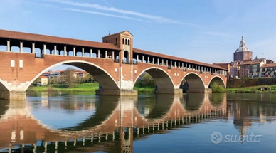 Vorrei Stanza a Pavia per studentessa