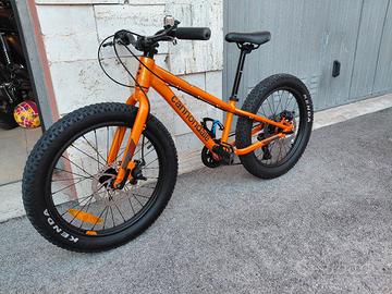 Cannondale Cujo Race