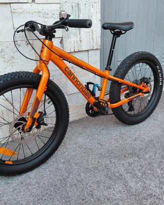 Cannondale Cujo Race