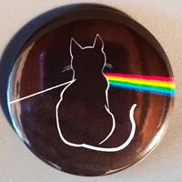 SPILLA GATTO PINK FLOYD 