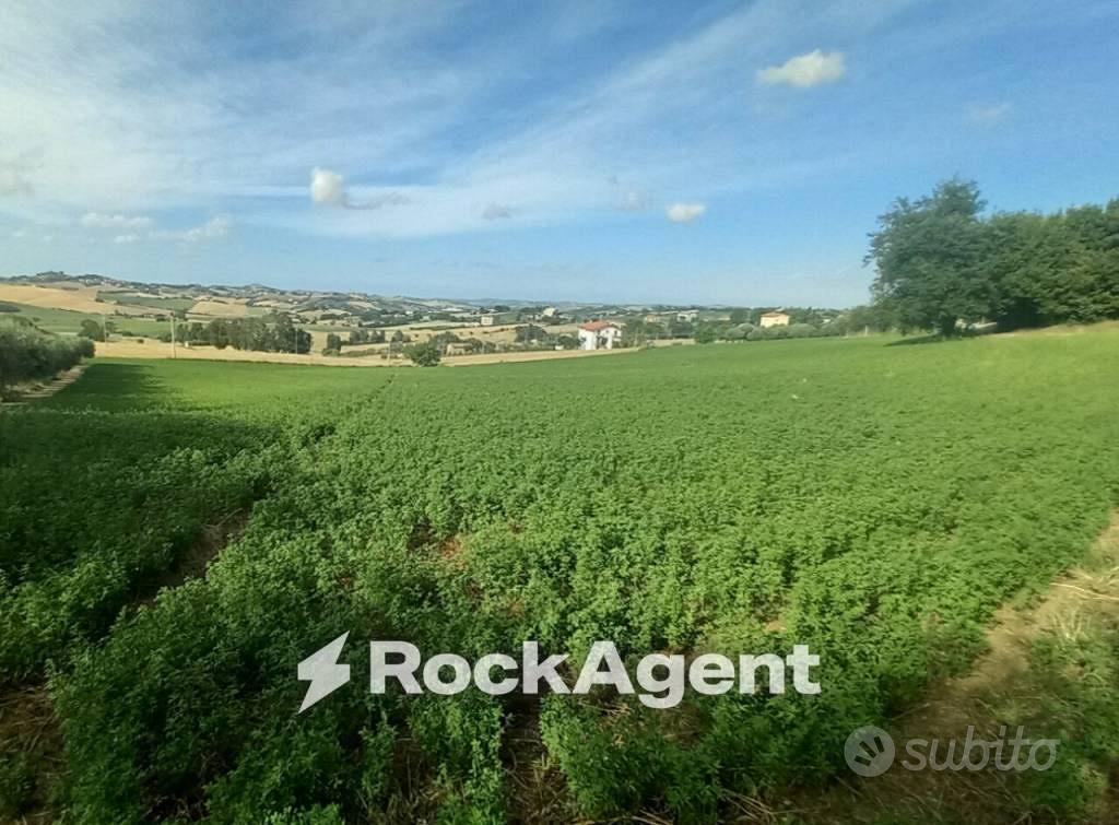 Terreno di 29773 m² a Arcevia - Vista 2