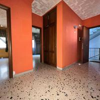 Ampio appartamento 5 vani a Palermo