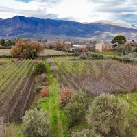 Terreno Edificabile - Randazzo