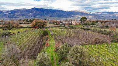 Terreno Edificabile - Randazzo