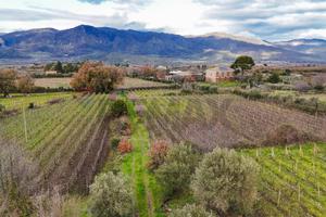 Terreno Edificabile - Randazzo